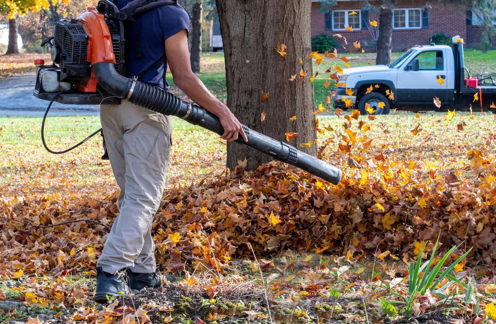 A man operates a leaf blower, clearing fallen leaves from a yard on a sunny day.